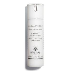 Global Perfect Pore Minimizer Refining Smoothing Concentrate